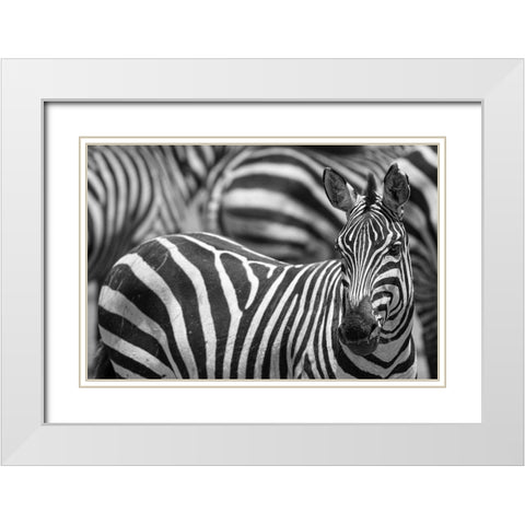 Stripes White Modern Wood Framed Art Print with Double Matting by Catta, Alessandro