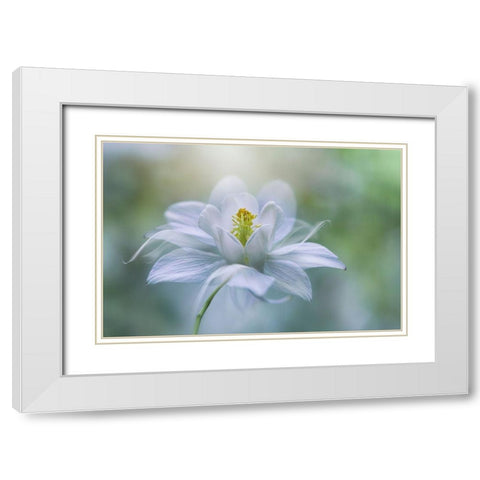 Purity White Modern Wood Framed Art Print with Double Matting by Parker, Jacky