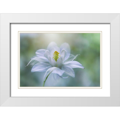 Purity White Modern Wood Framed Art Print with Double Matting by Parker, Jacky
