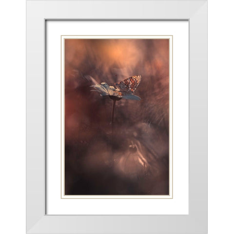 Pyrotechnics White Modern Wood Framed Art Print with Double Matting by Bravin, Fabien