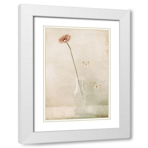 Miss Daisy White Modern Wood Framed Art Print with Double Matting by Devos, Delphine