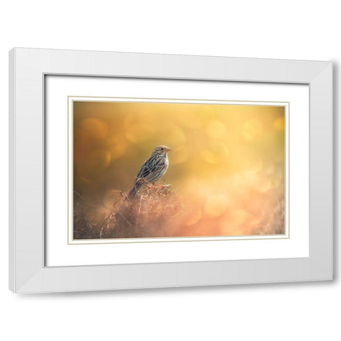 Lost In Bokeh White Modern Wood Framed Art Print with Double Matting by Pezeshki, Sina