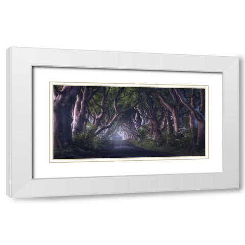 The Dark Hedges White Modern Wood Framed Art Print with Double Matting by Gastager, Daniel