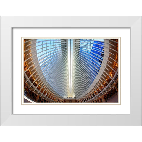 Oculus White Modern Wood Framed Art Print with Double Matting by Fleckenstein, Martin