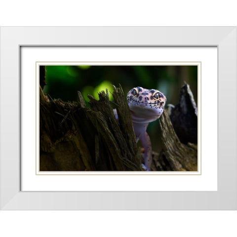 Cute Smile White Modern Wood Framed Art Print with Double Matting by Maududdin, Fauzan