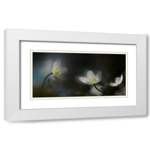 Light In The Darkness White Modern Wood Framed Art Print with Double Matting by Westum, Heidi