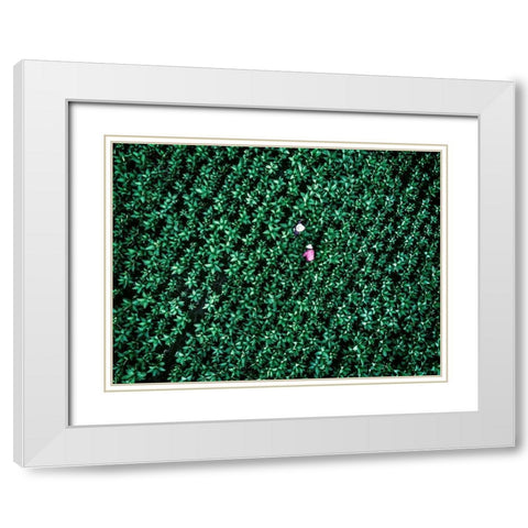 Sheer Purity White Modern Wood Framed Art Print with Double Matting by Chengzhou, Zhou