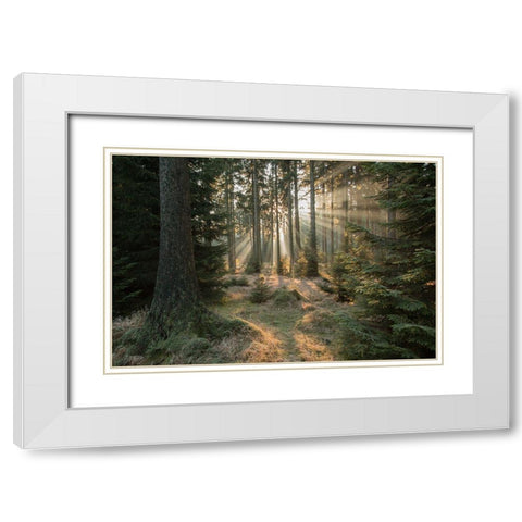 Rays-Part 2 White Modern Wood Framed Art Print with Double Matting by Croce, Vincent