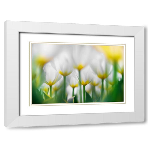 Overlapping White White Modern Wood Framed Art Print with Double Matting by Suzuki, Takashi