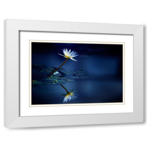 Reflection White Modern Wood Framed Art Print with Double Matting by Suzuki, Takashi
