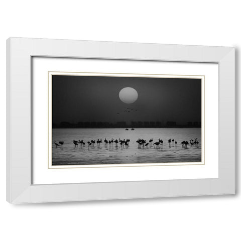 At A Glance White Modern Wood Framed Art Print with Double Matting by Thabet, Ahmed