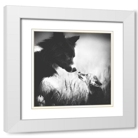 ... First Contact ... White Modern Wood Framed Art Print with Double Matting by Gerec, Pali