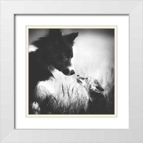 ... First Contact ... White Modern Wood Framed Art Print with Double Matting by Gerec, Pali