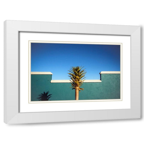 The Desert Blooms White Modern Wood Framed Art Print with Double Matting by Wride, Linda