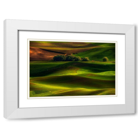 Spring In The Palouse White Modern Wood Framed Art Print with Double Matting by Jacobs, Lydia
