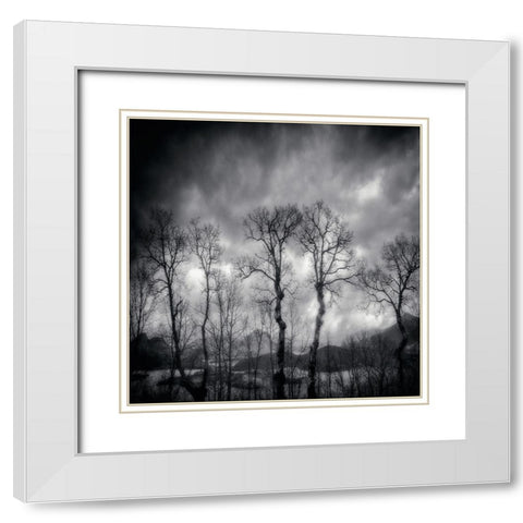 Last Days White Modern Wood Framed Art Print with Double Matting by Txules
