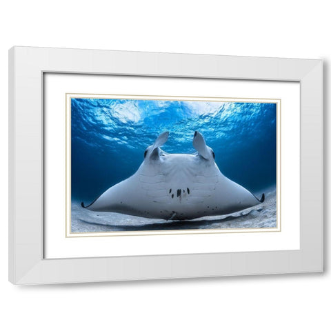 Take Off / Manta Airline White Modern Wood Framed Art Print with Double Matting by Gabriel, Barathieu