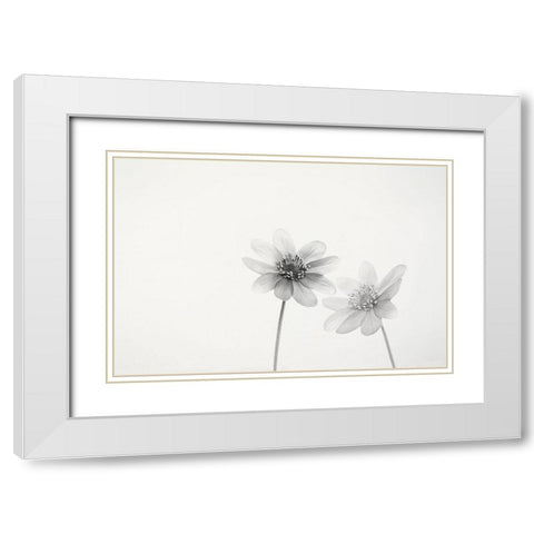 Two Small Flowers White Modern Wood Framed Art Print with Double Matting by Gronkjar, Lotte