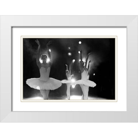 Swan Lake White Modern Wood Framed Art Print with Double Matting by Pobat, Alexandr