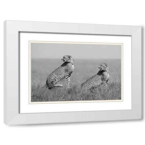 Whats Going On Here Around? White Modern Wood Framed Art Print with Double Matting by Pozzi, Marco