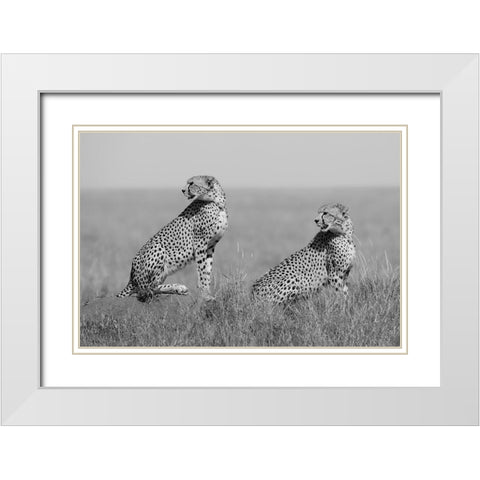 Whats Going On Here Around? White Modern Wood Framed Art Print with Double Matting by Pozzi, Marco