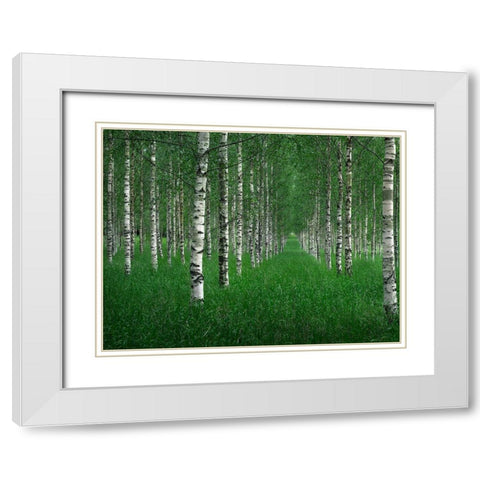 The Tunnel White Modern Wood Framed Art Print with Double Matting by Lindsten, Christian