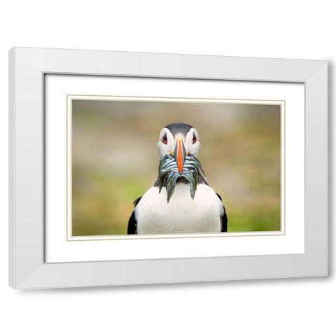 The Big Catch White Modern Wood Framed Art Print with Double Matting by Fegari