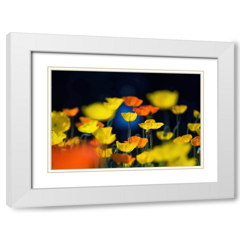 One Point White Modern Wood Framed Art Print with Double Matting by Suzuki, Takashi