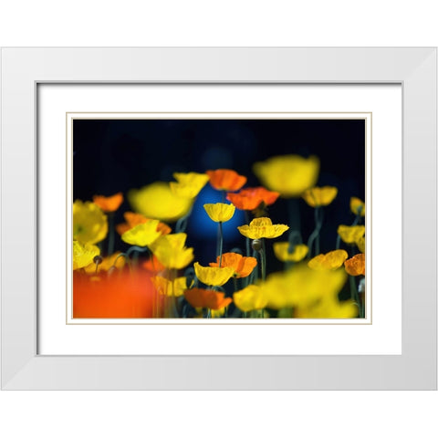 One Point White Modern Wood Framed Art Print with Double Matting by Suzuki, Takashi