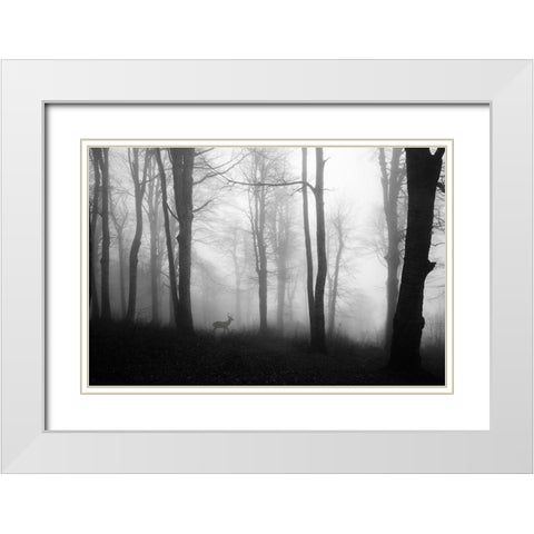 Forest White Modern Wood Framed Art Print with Double Matting by Nisan Kandilcioglu, Ummu
