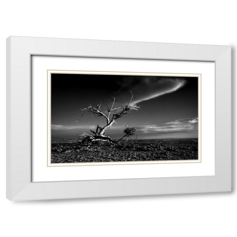 Salton Sea Sculpture White Modern Wood Framed Art Print with Double Matting by Darby, Rob