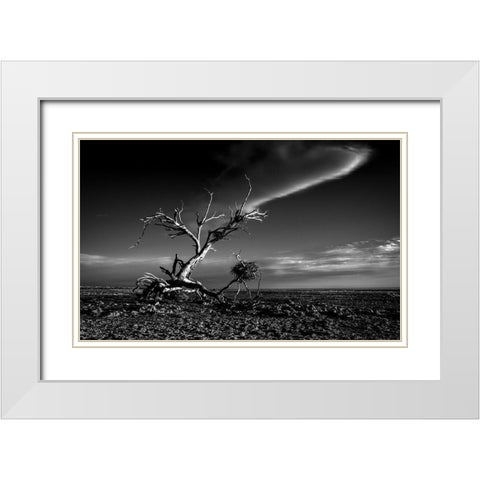 Salton Sea Sculpture White Modern Wood Framed Art Print with Double Matting by Darby, Rob