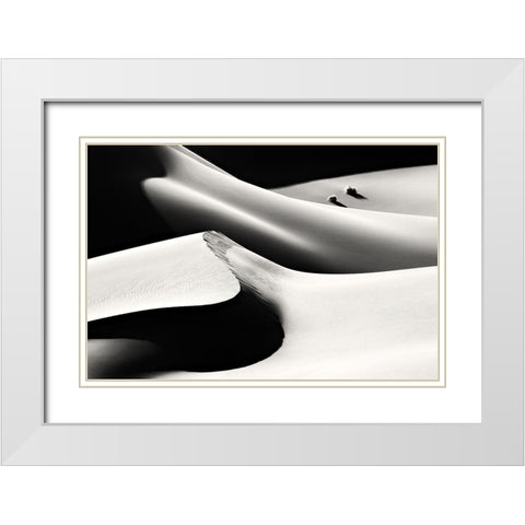 Life White Modern Wood Framed Art Print with Double Matting by Momeni, Mohammadreza