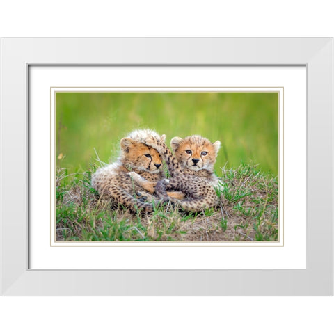 Promising White Modern Wood Framed Art Print with Double Matting by Roshkumar