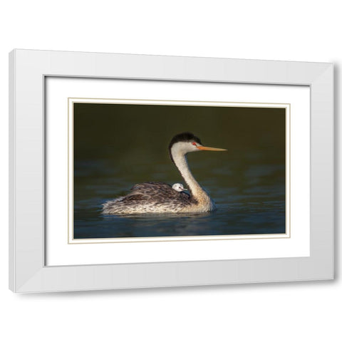 Front Seat View White Modern Wood Framed Art Print with Double Matting by Barsh, Greg