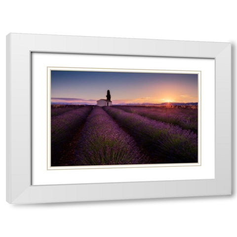 Provence Lavender White Modern Wood Framed Art Print with Double Matting by Luo, Donald