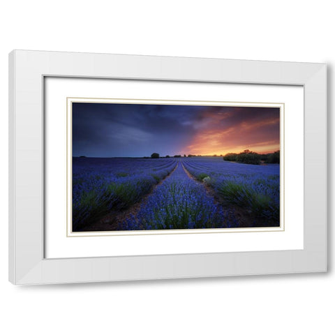 Half Life. White Modern Wood Framed Art Print with Double Matting by Pablo de, Juan