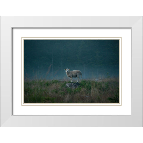 Moody Sheep White Modern Wood Framed Art Print with Double Matting by Lindsten, Christian