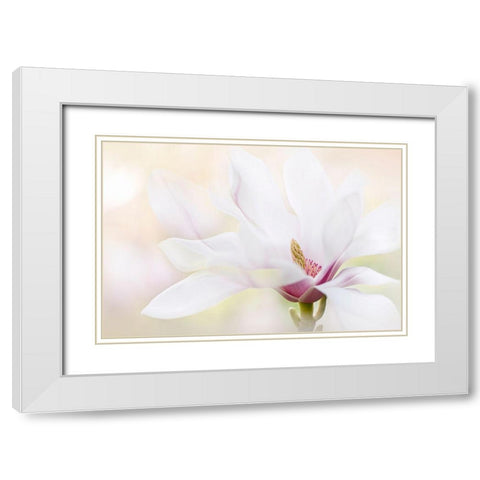 Purity White Modern Wood Framed Art Print with Double Matting by Parker, Jacky