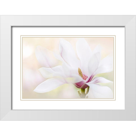 Purity White Modern Wood Framed Art Print with Double Matting by Parker, Jacky