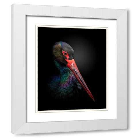 The Black Stork White Modern Wood Framed Art Print with Double Matting by Fegari