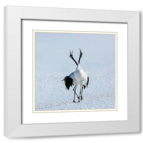 Pas Dedeux White Modern Wood Framed Art Print with Double Matting by Ren Rong, Raymond