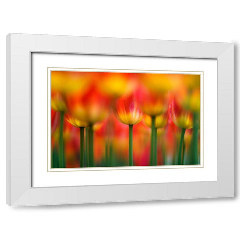 Side By Side White Modern Wood Framed Art Print with Double Matting by Suzuki, Takashi