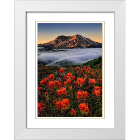 Blooming White Modern Wood Framed Art Print with Double Matting by Jacobs, Lydia