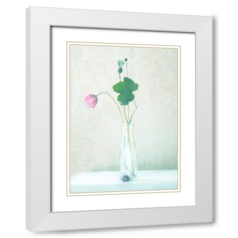 The Pink Flower White Modern Wood Framed Art Print with Double Matting by Devos, Delphine