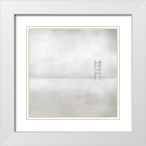 The Social Ladder White Modern Wood Framed Art Print with Double Matting by Claes, Gilbert