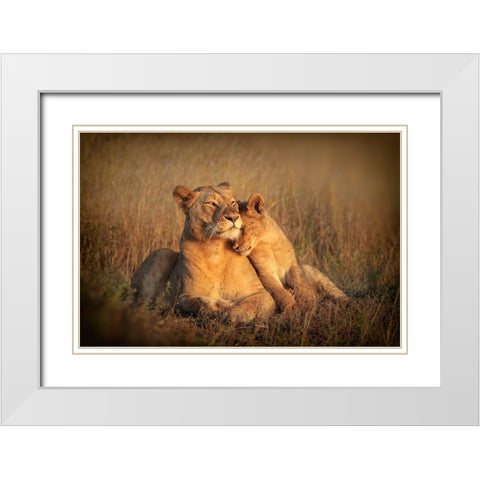 Feline Family White Modern Wood Framed Art Print with Double Matting by Marx, Jaco