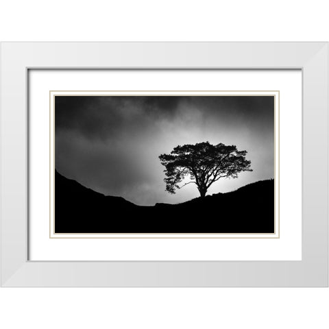 Lone Tree White Modern Wood Framed Art Print with Double Matting by Meermann, Christian