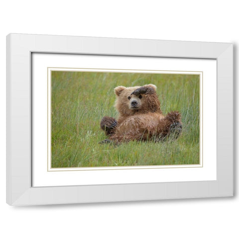 Whos There ? White Modern Wood Framed Art Print with Double Matting by Doyle, Renee