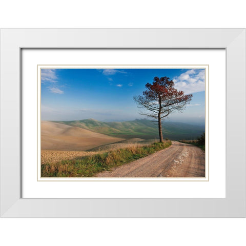 Lonely Tree White Modern Wood Framed Art Print with Double Matting by Kravanja, Jure